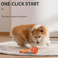Interactive Dog Toy Ball with Rope Electronic Motion Activated Rolling Ball for Indoor Cat Dog Play Toys for Puppy Training Ball